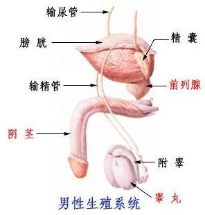 保山男科医院市治前列腺炎一般多钱